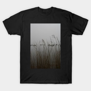 Lakes: mist T-Shirt